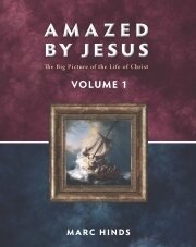 Amazed by Jesus: The Big Picture of the Life of Christ Vol 1