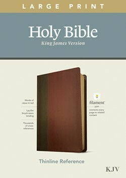 KJV Thinline Large Print Reference Bible, Filament Enabled Edition, LeatherLike, Brown/Mahogany