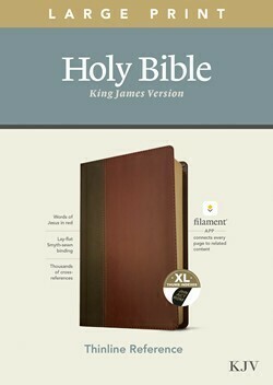 KJV Thinline Large Print Reference Bible, Filament Enabled Edition, LeatherLike, Brown/Mahogany, Indexed