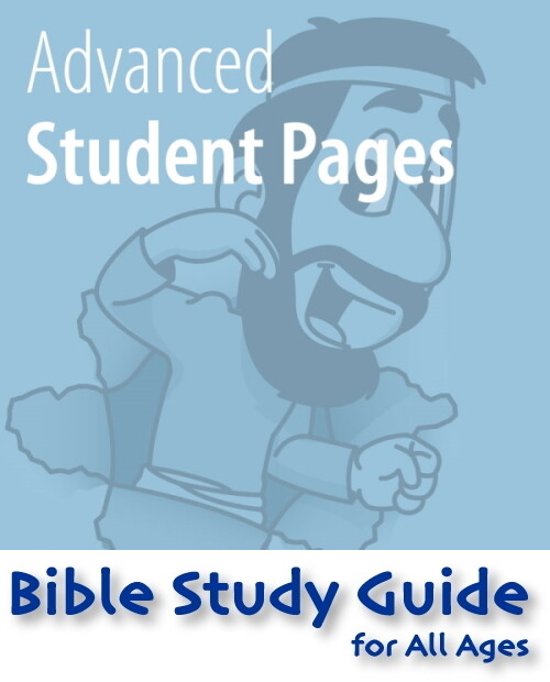 BSG Advanced Student 365-390 - (8.5 x 14 INCH VERSION)