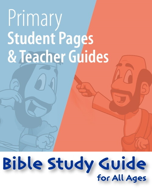 BSG Primary Teacher 313-338