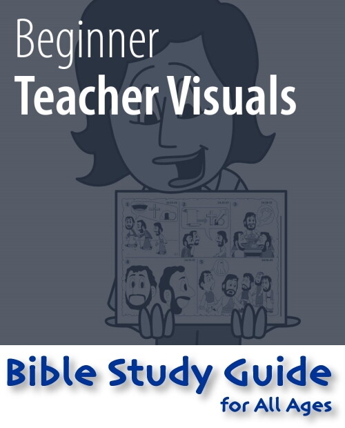 BSG Beginner Visual 365-390