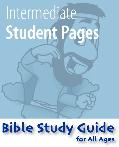 BSG Intermediate Student 313-338