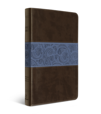 ESV Thinline Bible TruTone® Chocolate/Blue, Paisley Band Design