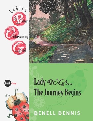 Lady BUGs...The Journey Begins
