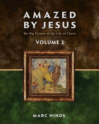 Amazed by Jesus: The Big Picture of the Life of Christ Vol 2