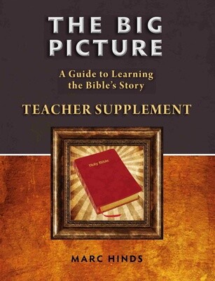 The Big Picture Teacher Supplement The Big Picture Teacher Supplement