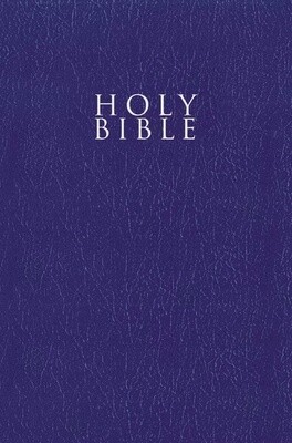 NIV Gift and Award Bible, Blue