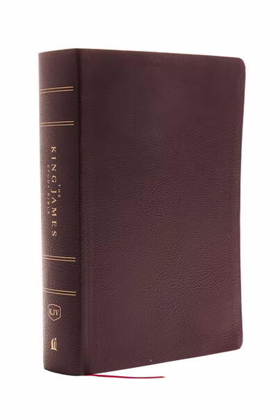 KJV Study Bible, Full Color, Bonded Leather, Burgundy