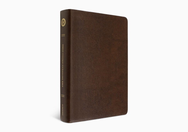 ESV Large Print Journaling Bible®, TruTone, Mocha 