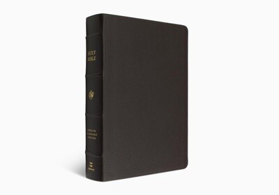 ESV Large Print Journaling Bible®, Buffalo Leather, Deep Brown