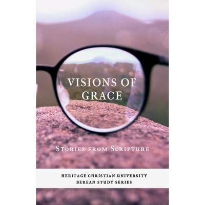 Visions of Grace: Stories From Scripture Visions of Grace: Stories From Scripture