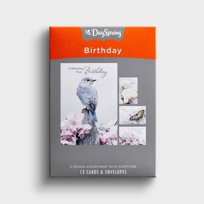 Boxed Cards - Birthday - Touch of Color, KJV