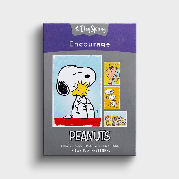 Boxed Cards - Encourage - Peanuts/Just Thinking
