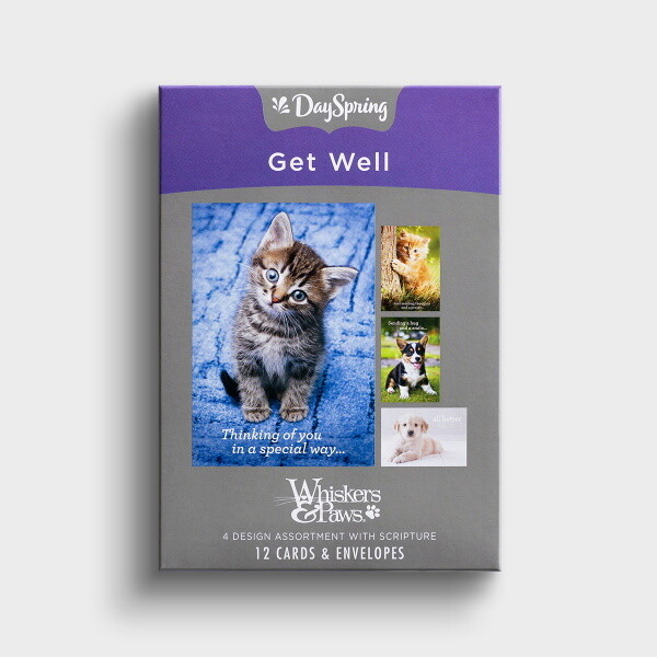 Boxed Cards - Get Well - Whiskers & Paws, KJV