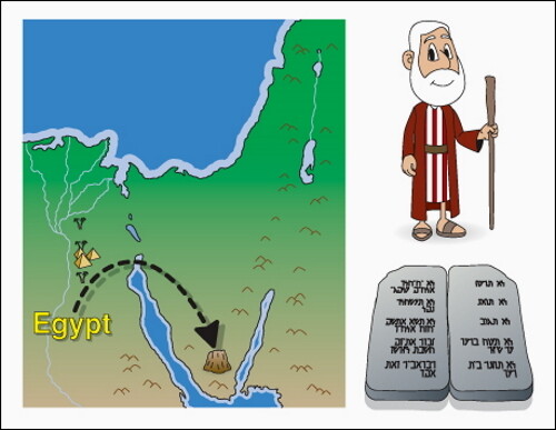 BSG Bible Book Summary Cards Large (8.5" x 11")