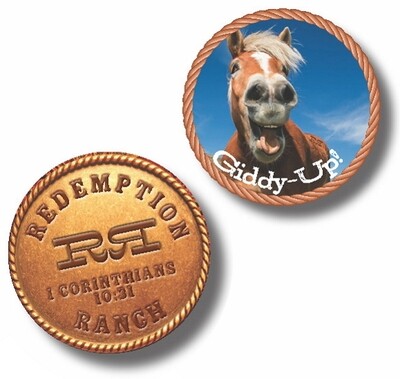 Redemption Ranch VBS Western Stickers  (pk of 12)