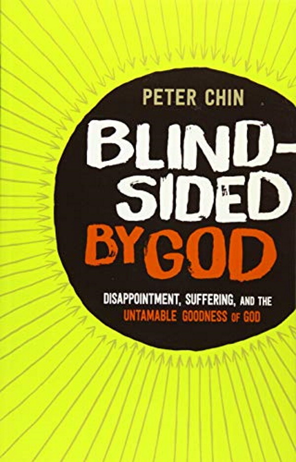 Blindsided by God: Disappointment, Suffering, And The Untamable Goodness Of God