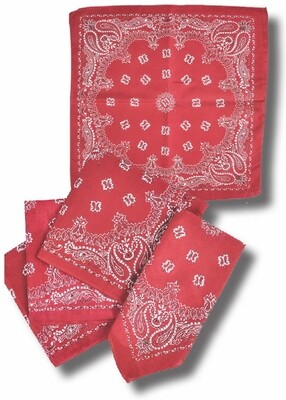 Redemption Ranch VBS Ranch Hand Bandanas (pk of 12)
