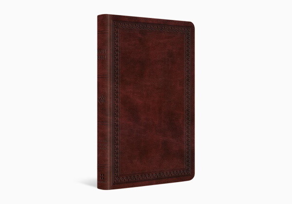 ESV Thinline Bible, TruTone®, Mahogany, Border Design