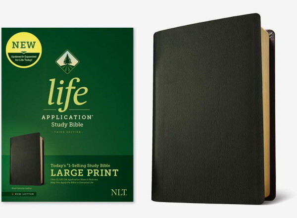 NLT Life Application Large Print Study Bible (Third Edition), Genuine Leather, Black