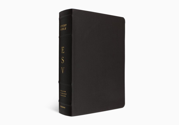 ESV Study Bible, Buffalo Leather, Deep Brown