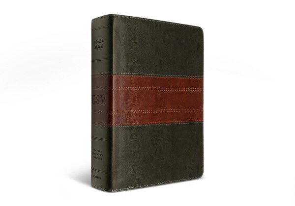 ESV Large Print Study Bible, TruTone, Forest/Tan Trail Design