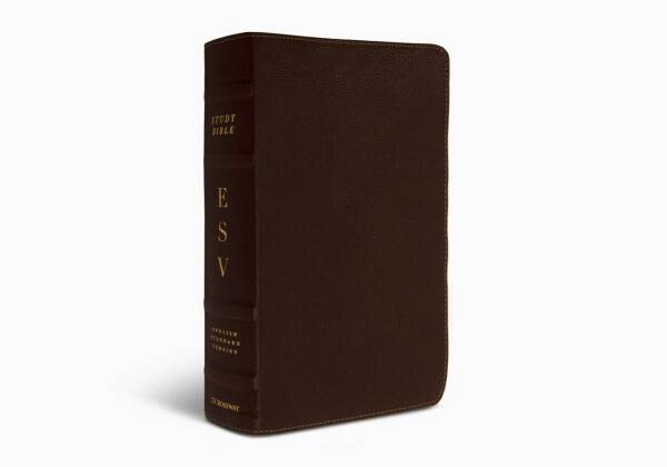 ESV Study Bible, Cowhide, Deep Brown