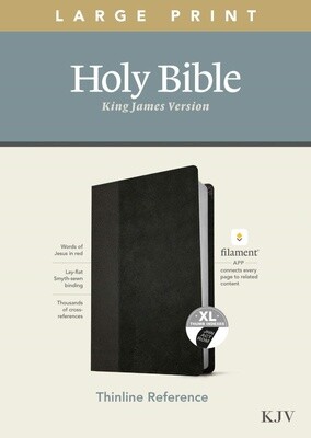KJV Thinline Large Print Reference Bible, Filament Enabled Edition, LeatherLike, Black/Onyx, Indexed