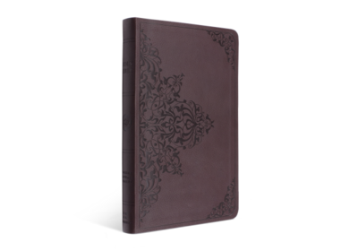ESV Premium Gift Bible, TruTone®, Chestnut, Filigree Design