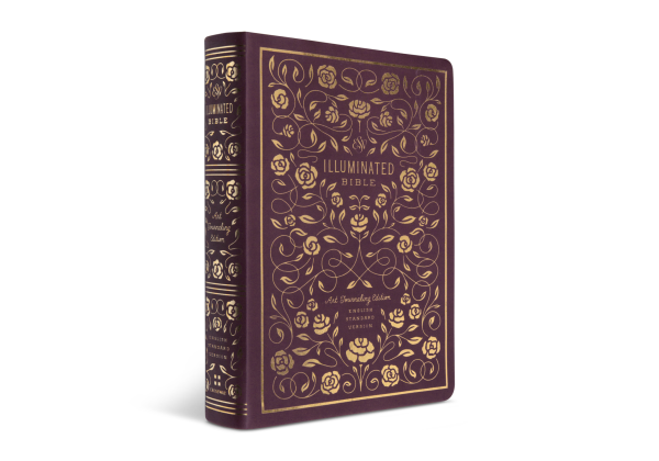 ESV Illuminated™ Bible, Art Journaling Edition, TruTone®, Burgundy