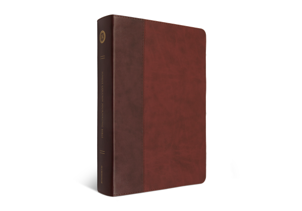 ESV Large Print Journaling Bible®, TruTone®, Burgundy/Red, Timeless Design ESV Large Print Journaling Bible®, TruTone®, Burgundy/Red, Timeless Design