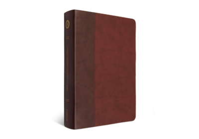 ESV Large Print Journaling Bible®, TruTone®, Burgundy/Red, Timeless Design