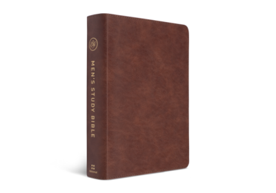 ESV Men's Study Bible, TruTone®, Brown