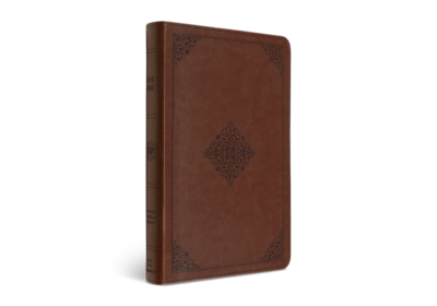 ESV Large Print Value Thinline Bible, TruTone, Tan, Ornament Design