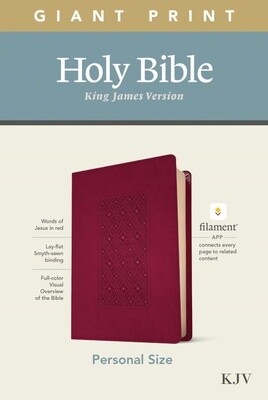 KJV Personal Size Giant Print Bible, Filament Enabled Edition, LeatherLike, Cranberry