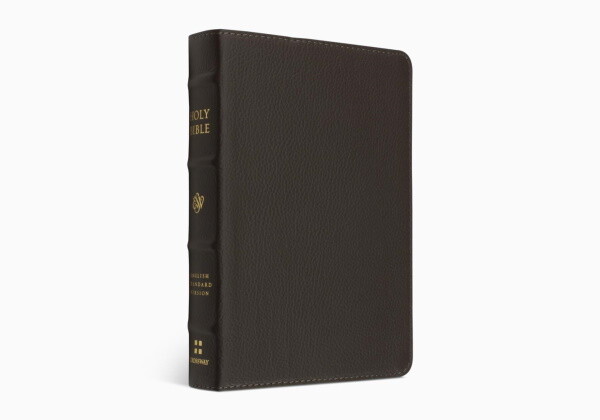 ESV Large Print Compact Bible, Buffalo Leather, Deep Brown