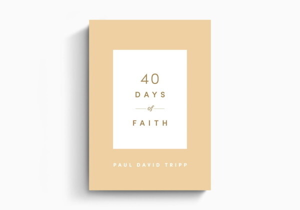 40 Days of Faith (New Morning Mercies)