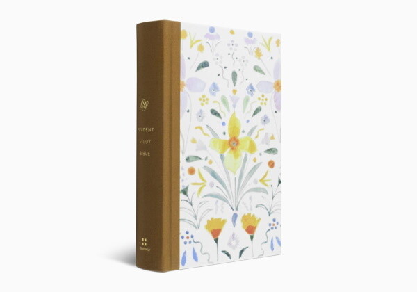 ESV Student Study Bible®, Artist Series, Cloth over Board, Sunburst ESV Student Study Bible®, Artist Series, Cloth over Board, Sunburst