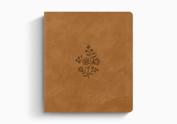 ESV Journaling Study Bible, TruTone® over Board, Nubuck Caramel