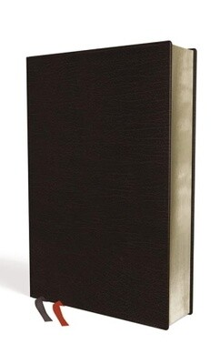 NIV Thinline Giant Print Bible, Bonded Leather, Black