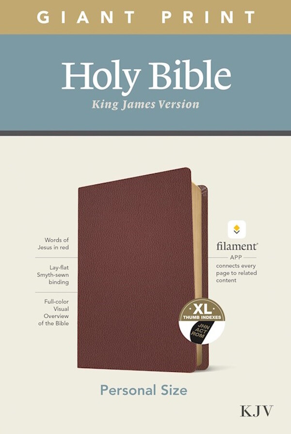KJV Personal Size Giant Print Bible, Filament Enabled Edition, Genuine Leather, Burgundy, Indexed