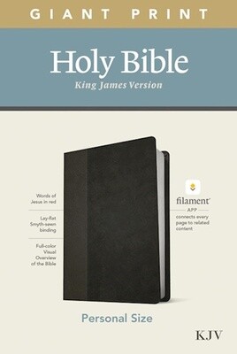 KJV Personal Size Giant Print Bible, Filament Enabled Edition, LeatherLike, Black/Onyx