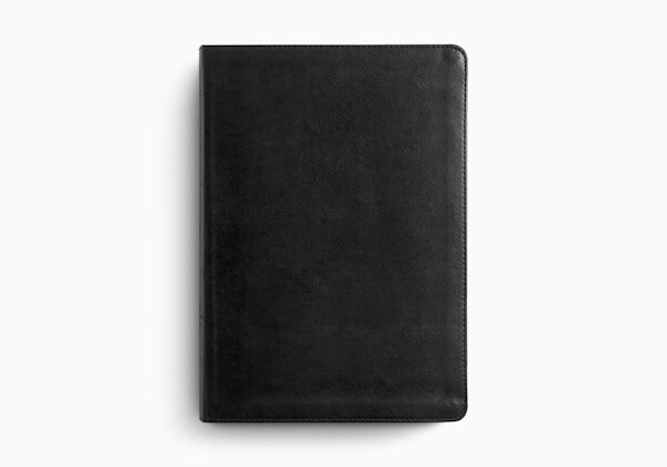 ESV Large Print Bible, TruTone®, Black