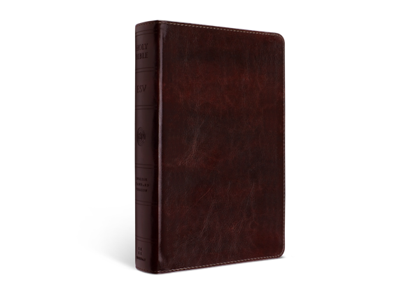 ESV Large Print Personal Size Bible, TruTone®, Mahogany