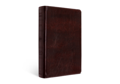 ESV Large Print Personal Size Bible, TruTone®, Mahogany