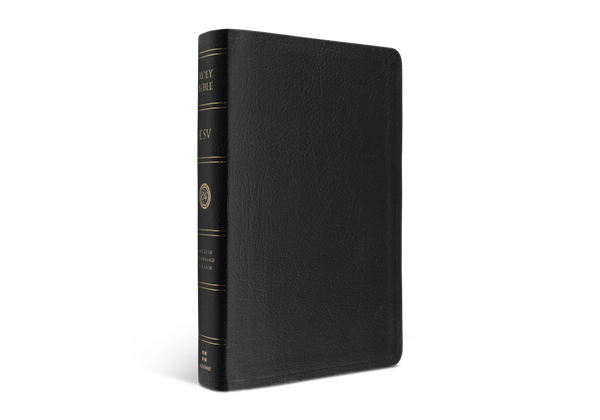 ESV Large Print Personal Size Bible, Genuine Leather, Black
