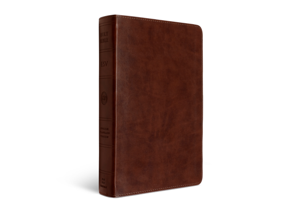 ESV Large Print Personal Size Bible, TruTone®, Chestnut