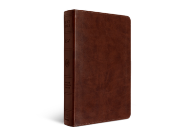 ESV Large Print Personal Size Bible, TruTone®, Chestnut