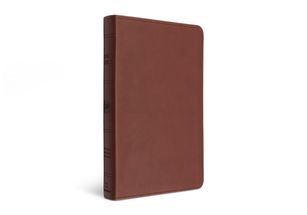 ESV Large Print Value Thinline Bible, TruTone, Chestnut